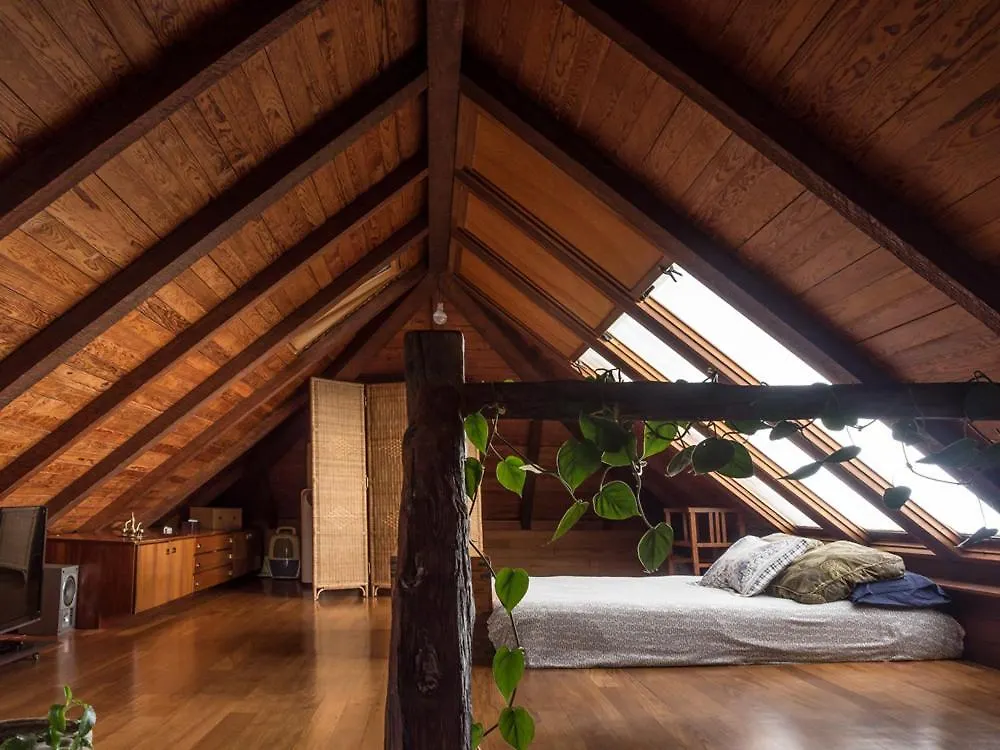 Casa Bioclimatica Villa Arafo 0*,  Spain